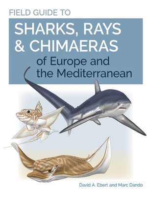 cover image of Field Guide to Sharks, Rays & Chimaeras of Europe and the Mediterranean